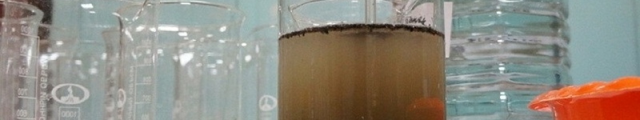 Учёные выяснили, откуда в Екатеринбурге грязь: три причины