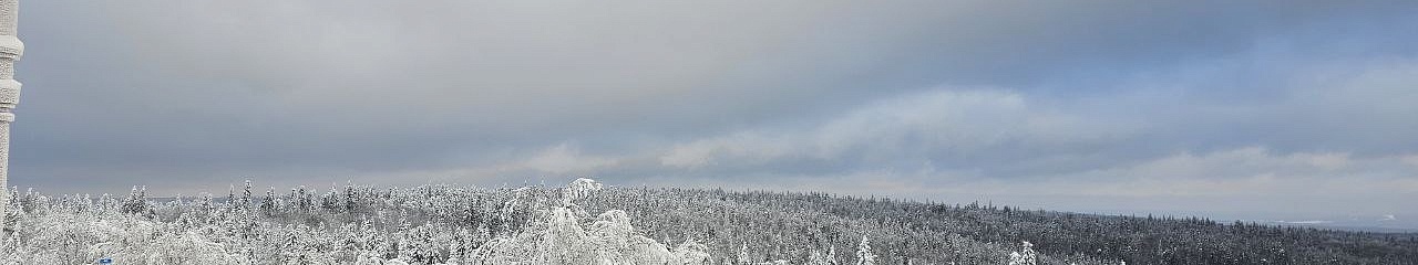 Сотрудники УЗПМ приняли участие в традиционных зимних купаниях