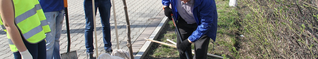 Зеленая аллея от «Уральского завода противогололедных материалов»