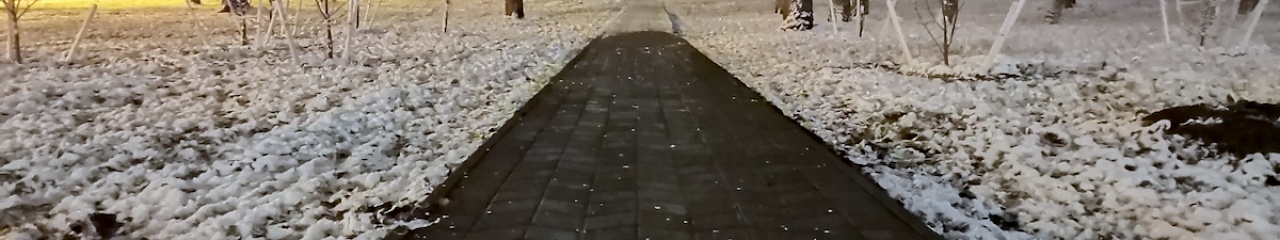 Лучше песка и соли: почему зимой в Ижевске будут использовать «Бионорд»