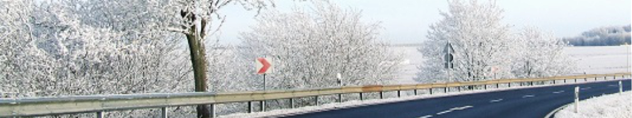 В Прикамье начнут использовать экологичные противогололедные реагенты